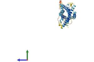 AlphaFold protein structure predicition of Human Recombinant CCRL2 Protein, UniprotID O00421