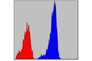 Flow cytometric analysis of NIH/3T3 cells using SMAD2 mouse mAb (blue) and negative control (red).