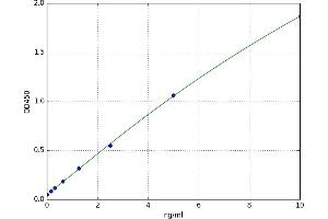 Bruton Agammaglobulinemia tyrosine Kinase (BTK) ELISA Kit