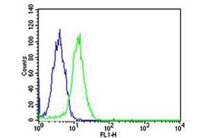 Flow cytometric analysis of HeLa cells using SP1 antibody (green) and an isotype control of mouse IgG1 (blue)