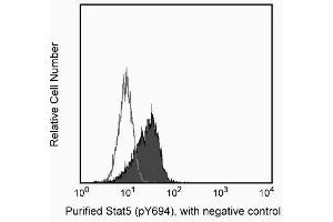 Image no. 3 for anti-Signal Transducer and Activator of Transcription 5A (STAT5A) (pTyr694) antibody (ABIN968702) (STAT5A anticorps  (pTyr694))