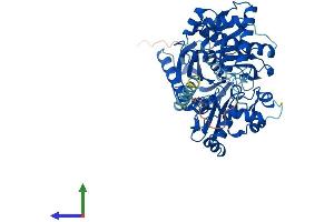 AlphaFold protein structure predicition of Mouse Recombinant Gk2 Protein, UniprotID Q9WU65