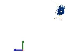 AlphaFold protein structure predicition of Human Recombinant TEKT1 Protein, UniprotID Q969V4