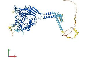 AlphaFold protein structure predicition of Mouse Recombinant Scnn1b Protein, UniprotID Q9WU38