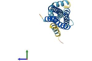 AlphaFold protein structure predicition of Human Recombinant SSR3 Protein, UniprotID Q9UNL2