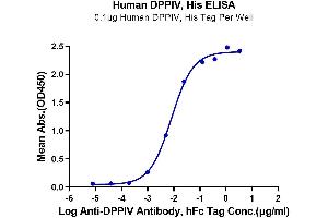 Immobilized Human DPPIV at 1 μg/mL (100 μL/well) on the plate. (DPP4 Protein (His tag))