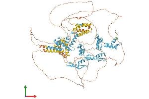 AlphaFold protein structure predicition of Human Recombinant ZSCAN20 Protein, UniprotID P17040