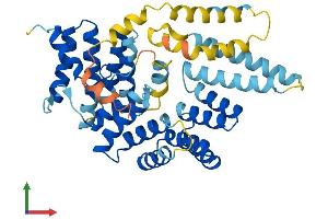 AlphaFold protein structure predicition of Mouse Recombinant Ifit3 Protein, UniprotID Q64345