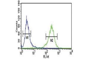 AHR antibody flow cytometric analysis of NCI-H460 cells (green) compared to a negative control (blue).