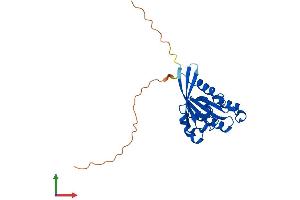 AlphaFold protein structure predicition of Human Recombinant RAB5A Protein, UniprotID P20339