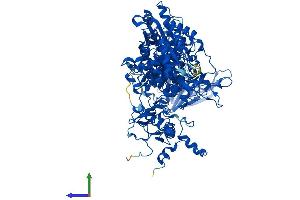 AlphaFold protein structure predicition of Mouse Recombinant Dpyd Protein, UniprotID Q8CHR6