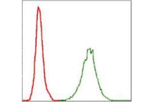Flow cytometric analysis of Jurkat cells using NEFL mouse mAb (green) and negative control (red). (NEFL anticorps)