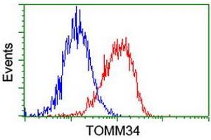 Image no. 2 for anti-Translocase of Outer Mitochondrial Membrane 34 (TOMM34) antibody (ABIN1501463) (TOMM34 anticorps)