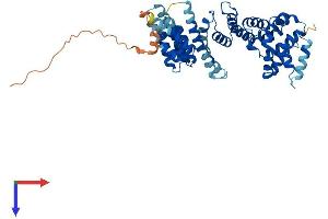 AlphaFold protein structure predicition of Human Recombinant TAF1A Protein, UniprotID Q15573