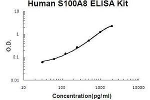 Human S100A8 PicoKine ELISA Kit standard curve