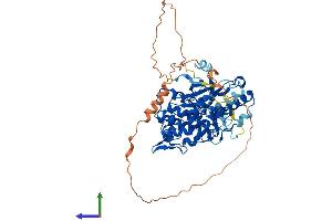AlphaFold protein structure predicition of Mouse Recombinant Nlk Protein, UniprotID O54949