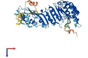 AlphaFold protein structure predicition of Human Recombinant PRAMEF12 Protein, UniprotID O95522