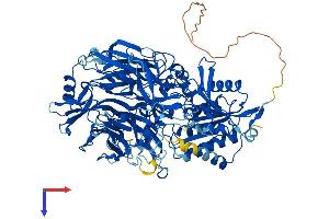 AlphaFold protein structure predicition of Human Recombinant DPP8 Protein, UniprotID Q6V1X1
