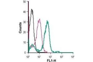 Cell surface detection of AT1 receptor in live intact human THP-1 monocytic leukemia cells: (black line) Cells.