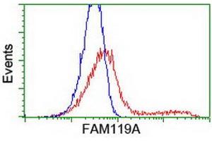 HEK293T cells transfected with either RC207629 overexpress plasmid (Red) or empty vector control plasmid (Blue) were immunostained by anti-FAM119A antibody (ABIN2455138), and then analyzed by flow cytometry. (FAM119A anticorps)
