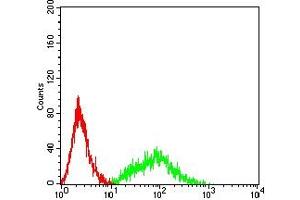 Flow cytometric analysis of HL-60 cells using CD141 mouse mAb (green) and negative control (red).