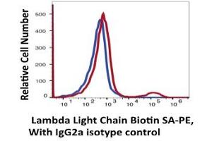 Flow Cytometry (FACS) image for anti-lambda Light Chain (Lambda-IgLC) antibody (Biotin) (ABIN6253019) (Lambda-IgLC anticorps  (Biotin))