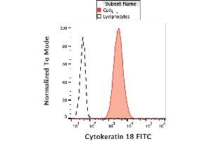 Intracellular staining of HeLa cells with anti-cytokeratin 18 (DC-10) FITC.