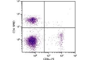 BALB/c mouse splenocytes were stained with Rat Anti-Mouse CD4-SPRD and Rat Anti-Mouse CD8α-PE.