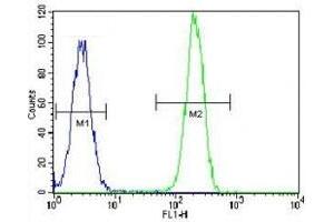 NPM1 antibody flow cytometric analysis of HeLa cells (green) compared to a negative control (blue).