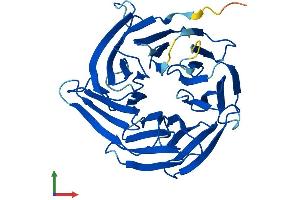 AlphaFold protein structure predicition of Mouse Recombinant Nup37 Protein, UniprotID Q9CWU9