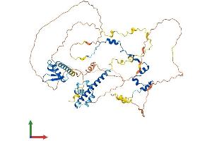AlphaFold protein structure predicition of Human Recombinant RAD21 Protein, UniprotID O60216