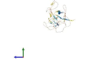 AlphaFold protein structure predicition of Human Recombinant INCENP Protein, UniprotID Q9NQS7