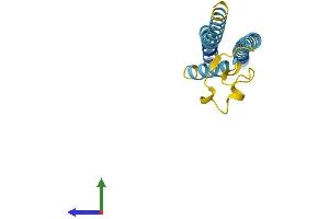 AlphaFold protein structure predicition of Human Recombinant GET1 Protein, UniprotID O00258