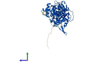 AlphaFold protein structure predicition of Human Recombinant DARS1 Protein, UniprotID P14868