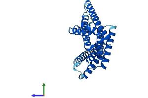 AlphaFold protein structure predicition of Mouse Recombinant Ywhab Protein, UniprotID Q9CQV8