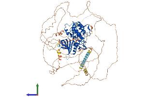 AlphaFold protein structure predicition of Mouse Recombinant Aak1 Protein, UniprotID Q3UHJ0