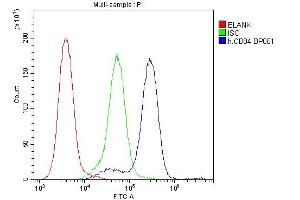 Flow Cytometry analysis of JK cells using anti-CD84 antibody (ABIN6719602).