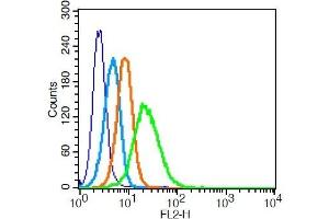Human U937 cells probed with 	LRP1/CD91 Polyclonal Antibody, Unconjugated  at 1:100 for 30 minutes followed by incubation with a PE conjugated secondary (green) for 30 minutes compared to control cells (blue), secondary only (light blue) and isotype control (orange). (LRP1 anticorps  (AA 4451-4545))