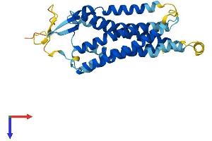 AlphaFold protein structure predicition of Human Recombinant GNRHR Protein, UniprotID P30968
