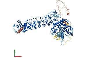 AlphaFold protein structure predicition of Mouse Recombinant Pla2g6 Protein, UniprotID P97819