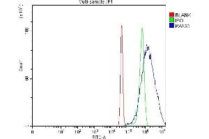 Flow Cytometry analysis of SiHa cells using anti-Pannexin 1/PANX1 antibody (ABIN7599312).