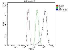 Flow Cytometry analysis of MCF-7 cells using anti-DDX1 antibody (ABIN7602050).