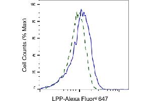 Validation of LPP knockdown using flow cytometry.