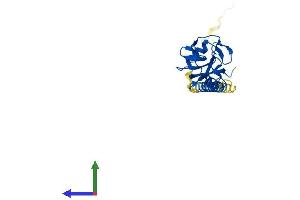 AlphaFold protein structure predicition of Human Recombinant CLEC2D Protein, UniprotID Q9UHP7