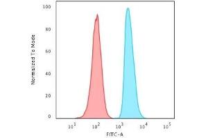 Flow Cytometric Analysis of HeLa cells using APEX Nuclease I Mouse Monoclonal Antibody (CPTC-APEX1-2). (SHP1 anticorps)