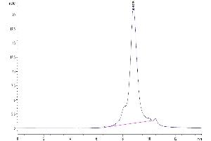 The purity of Human Fc gamma RI/CD64 is greater than 95 % as determined by SEC-HPLC.