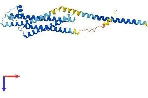 AlphaFold protein structure predicition of Human Recombinant STX1A Protein, UniprotID Q16623