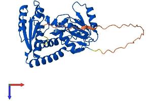 AlphaFold protein structure predicition of Mouse Recombinant Mthfd2l Protein, UniprotID D3YZG8