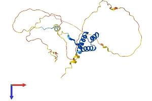 AlphaFold protein structure predicition of Human Recombinant HOXB5 Protein, UniprotID P09067