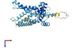 AlphaFold protein structure predicition of Human Recombinant SLC25A47 Protein, UniprotID Q6Q0C1